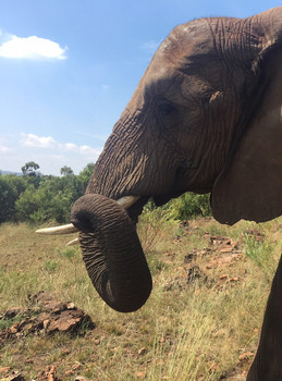 Zapisnik Cestovatele 2018